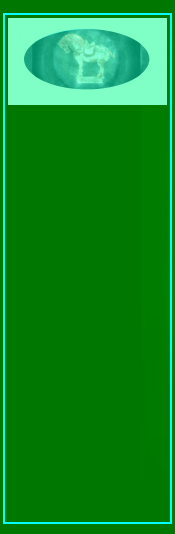 081128_honus_wagner_baseball_card,_ebay_alternatives001030.gif